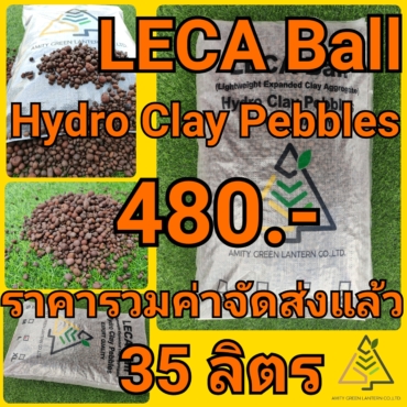 21-09-24-13-46-50-082_deco