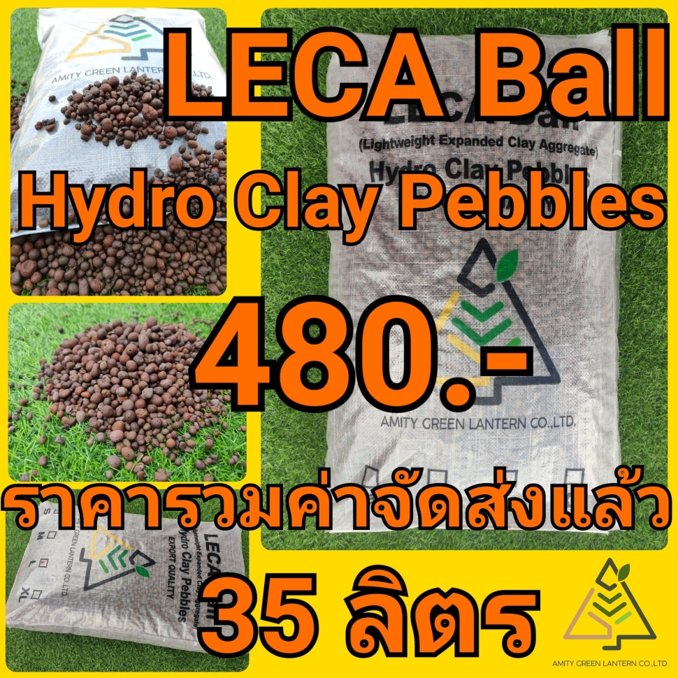 21-09-24-13-46-50-082_deco
