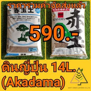 21-09-26-09-01-28-368_deco