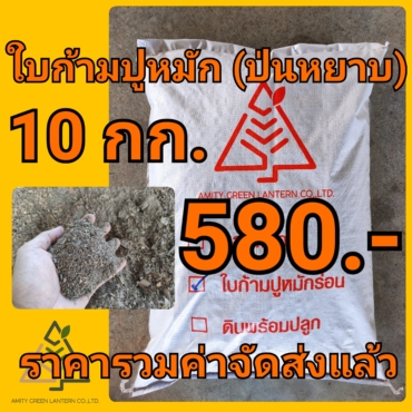 21-10-18-11-09-11-659_deco