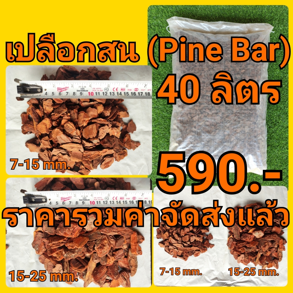 21-10-19-15-53-40-369_deco