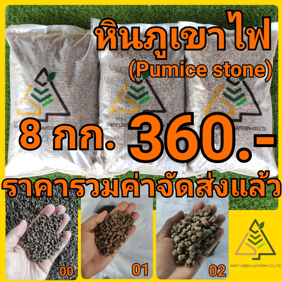 21-12-16-09-54-33-313_deco