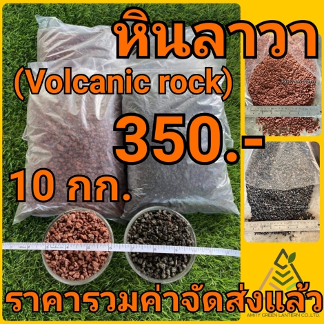 21-12-16-10-50-18-141_deco