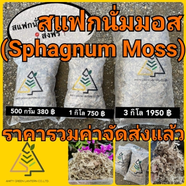 21-12-19-09-38-06-892_deco