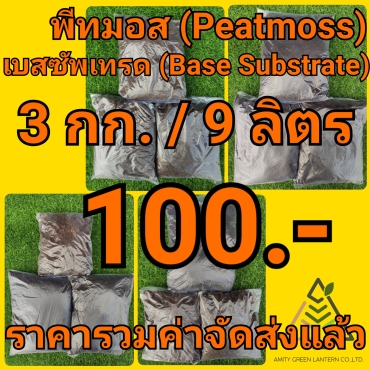 22-01-19-17-04-30-282_deco