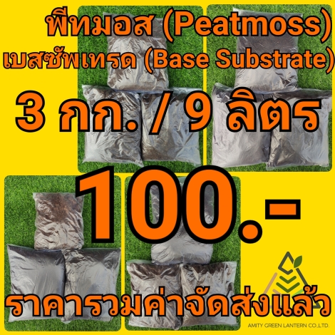 22-01-19-17-04-30-282_deco