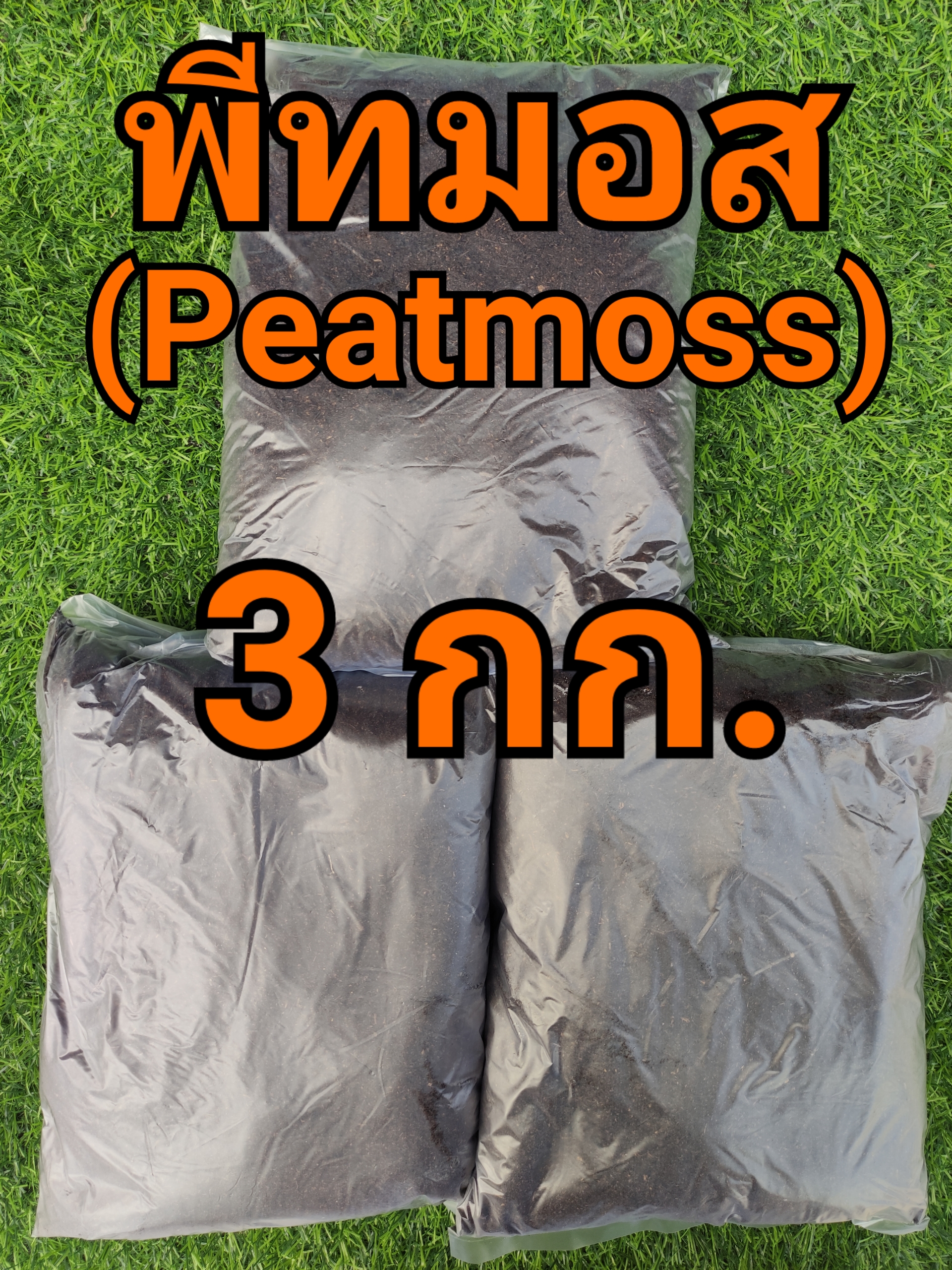 22-01-19-17-10-14-202_deco