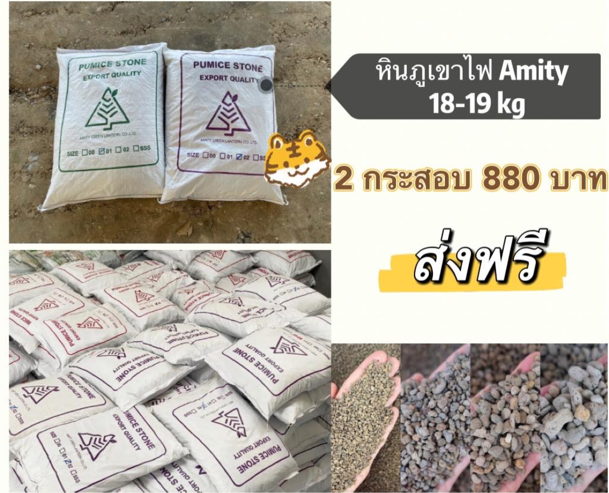 274070701_461201789066739_4793768857439829477_n